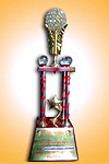 Durga Puja Award 2013
